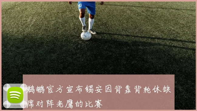 鹈鹕官方宣布锡安因背靠背轮休缺席对阵老鹰的比赛